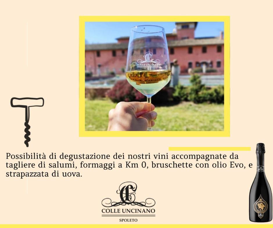 Agriturismo Il Molino Antico - 5 Girasoli Spoleto Kültér fotó