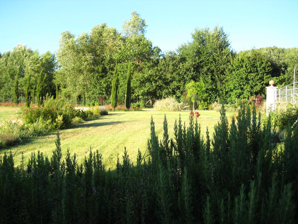 Agriturismo Il Molino Antico - 5 Girasoli Spoleto Kültér fotó